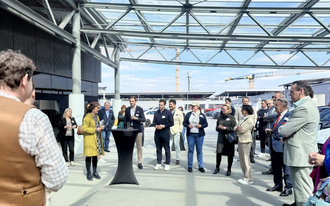 Networking mit Drive